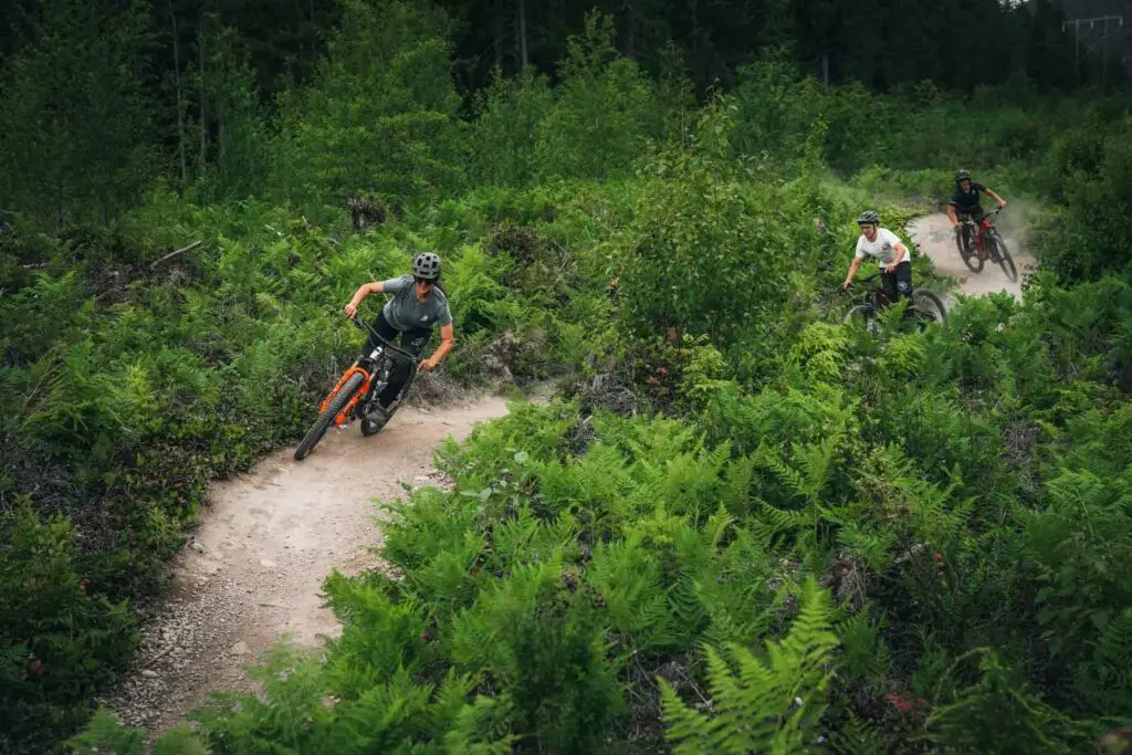 Three mountain bikers ride down a dirt trail surrounded by dense green foliage.