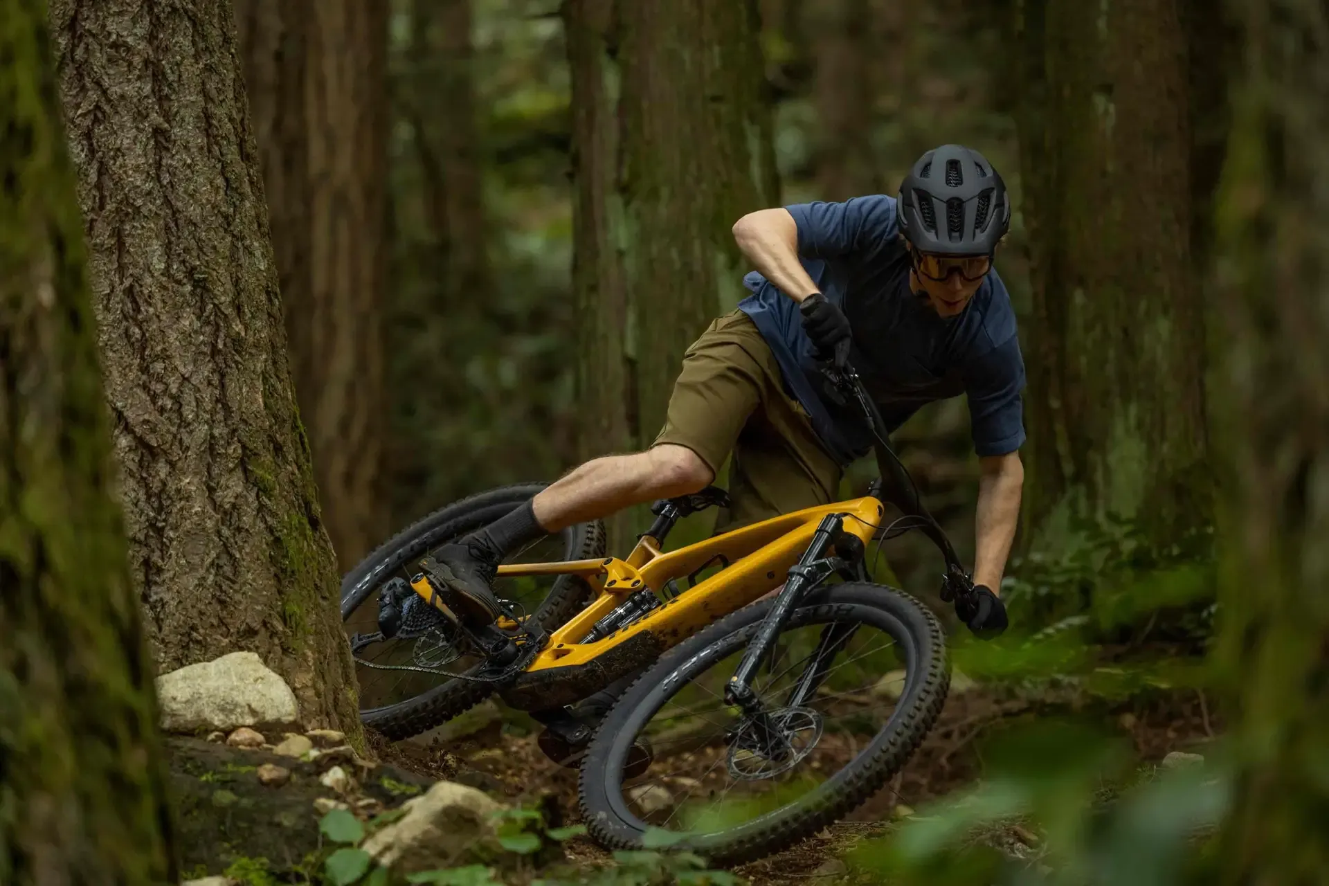 Voted Squamish No.1 Bike Rental RideHub
